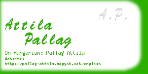 attila pallag business card